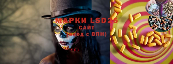 молекула духа Богородицк