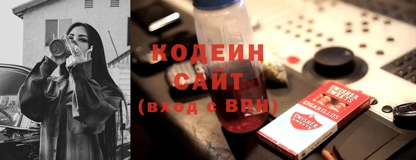 молекула духа Богородицк