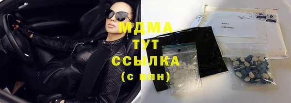 молекула духа Богородицк