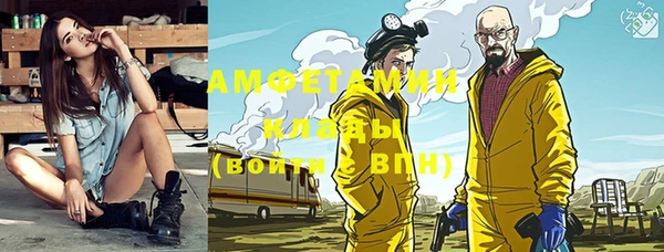 молекула духа Богородицк