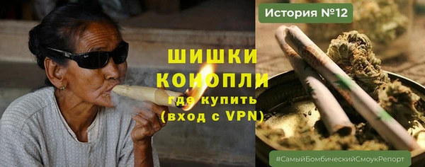 молекула духа Богородицк